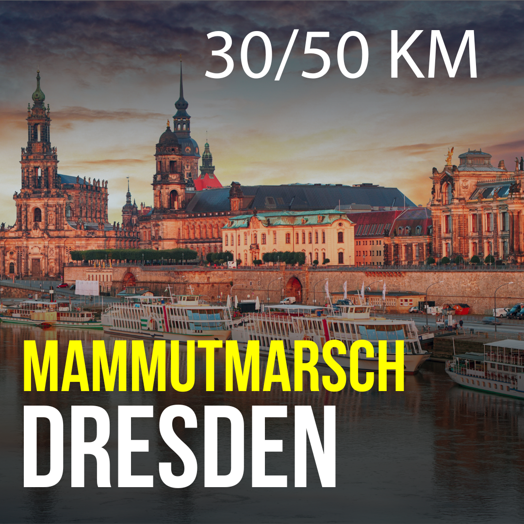 MM Dresden