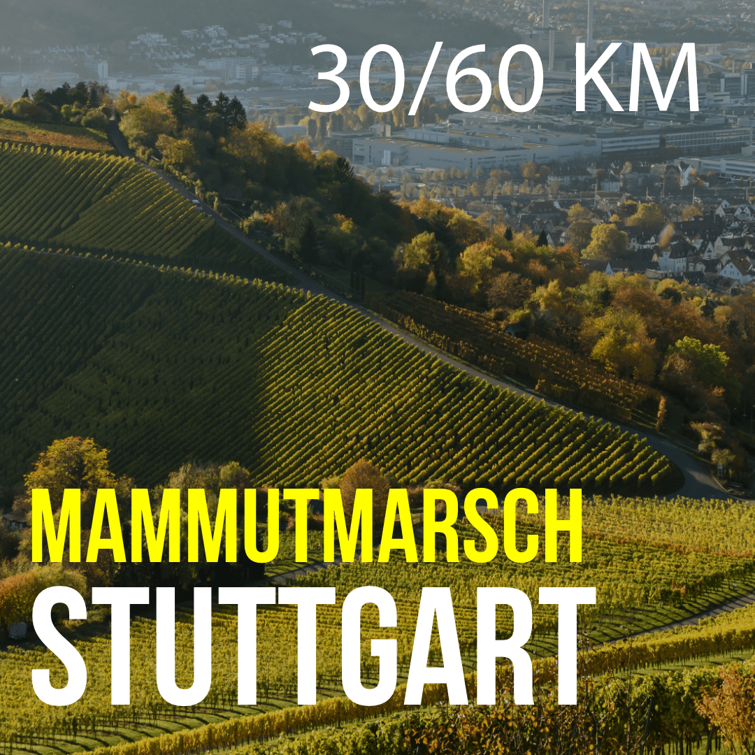 MM Stuttgart