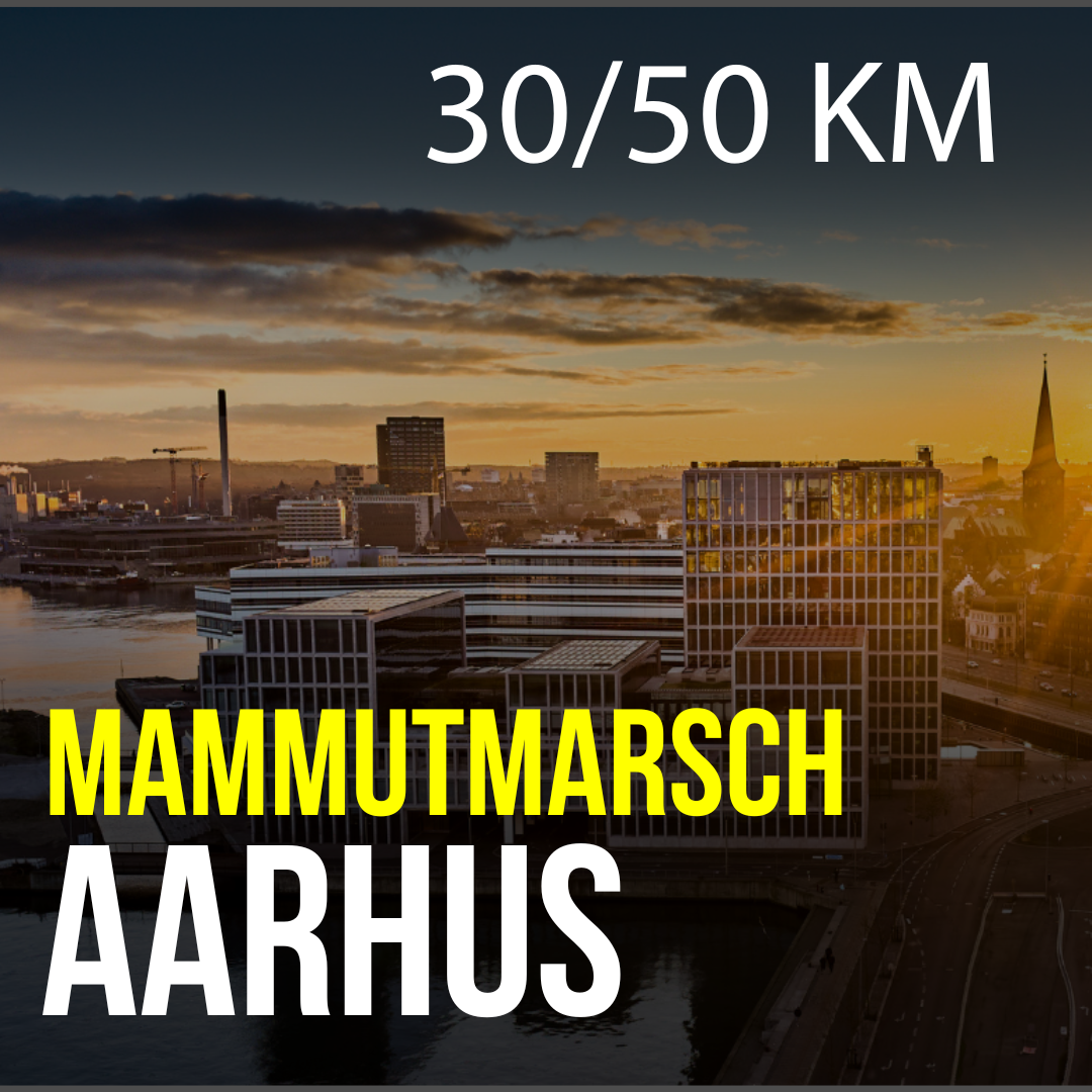 MM Aarhus